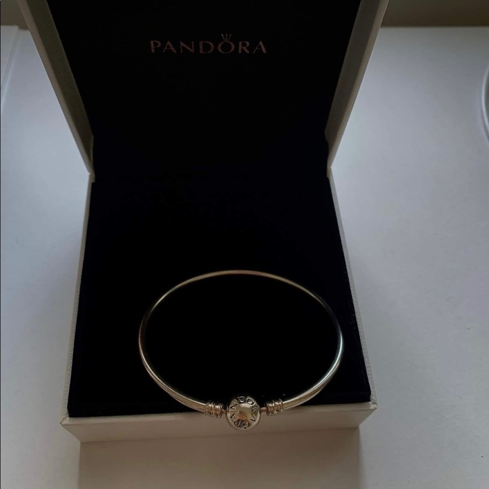 Sterling Silver Pandora Bracelet